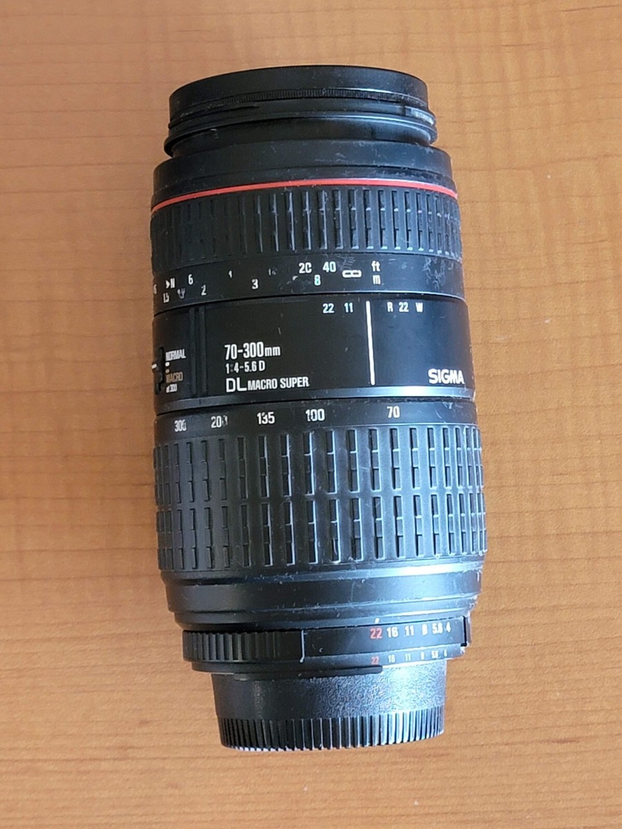 Sigma 70-300mm F4-5.6 DL Macro Super Lens for Nikon-AF Camera | eBay