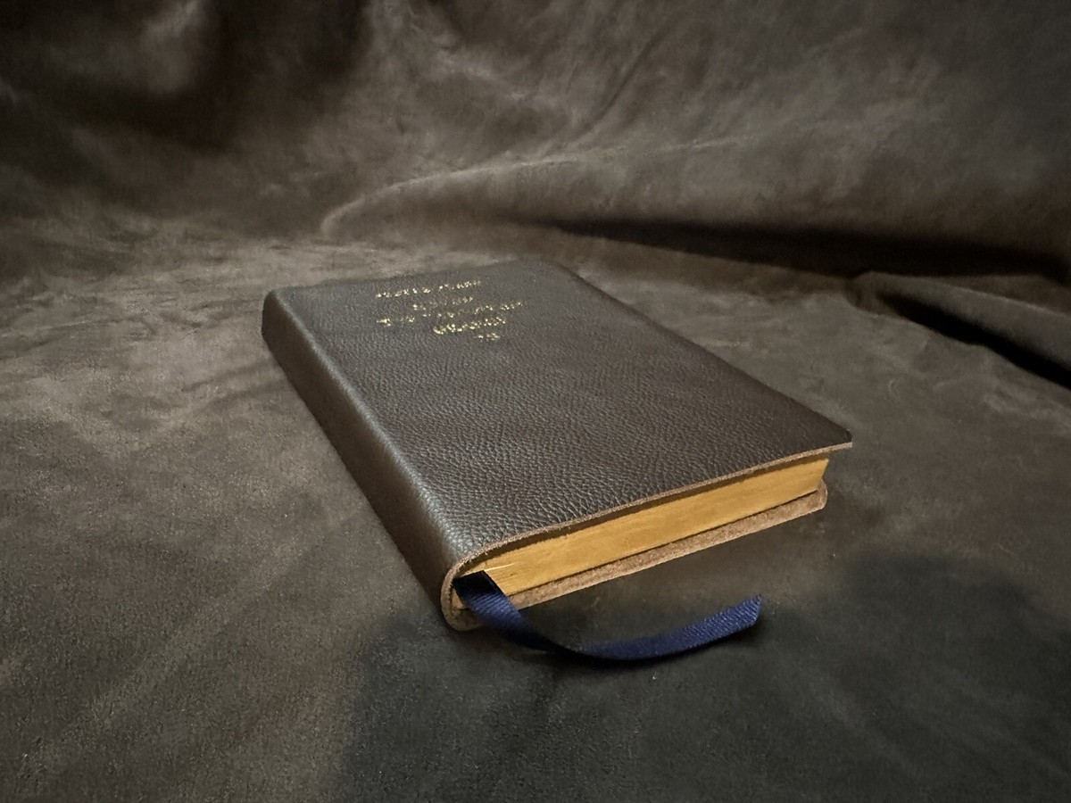 nestle aland greek New Testament NOVUM TESTAMENTUM GRAECE 28th