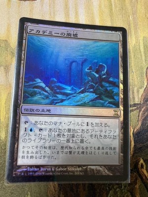 MTG 廃墟の地 foil 2枚セット 廃墟の地 旧枠 foil Foil《