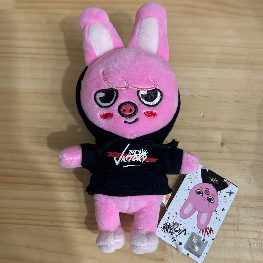 New Stray Kids SKZOO Changbin DWAEKKI Plush doll mini Ver