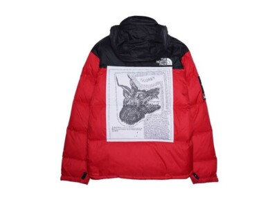 Supreme x The North Face Nuptse Jacket Black Red Green 2colors