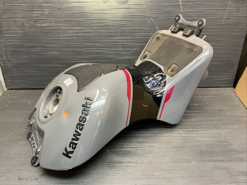 2022 Kawasaki Ninja ZX14R Gas tank, fuel tank #5523 | eBay