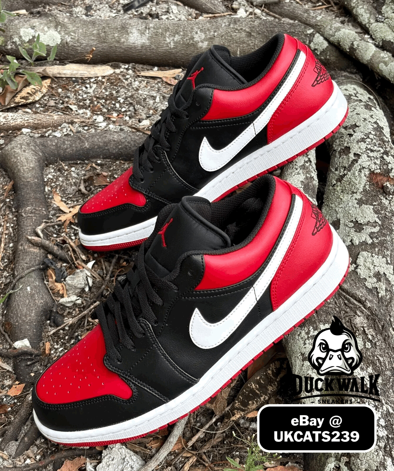 $_57.JPG?set_id=8800005007