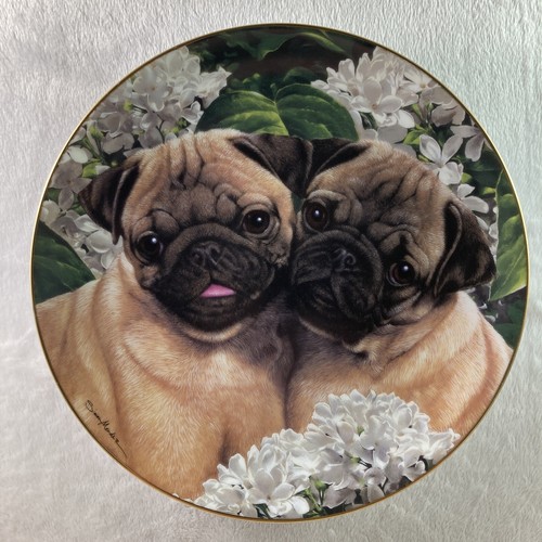 $_12.JPG?set_id=880000500F