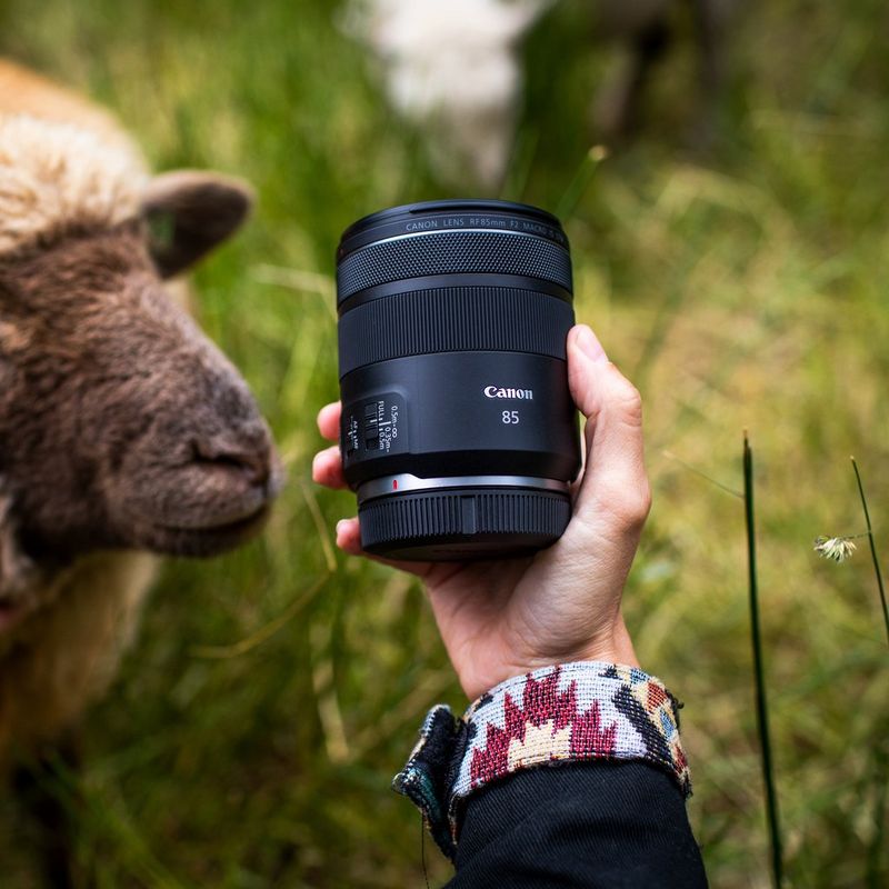 Kopen Canon RF 85mm F2 Macro IS STM-lens — Canon Nederland Store