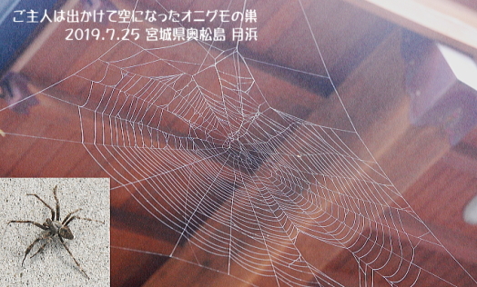 坂本遼（1959年）『きょうも生きて』||| – ||||| YAMADA,Toshiyuki |||