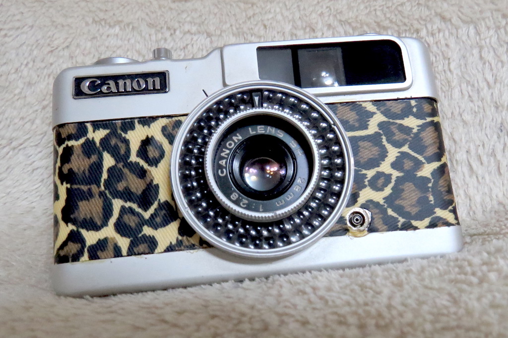 Canon Demi EE28 – Camera Go Camera