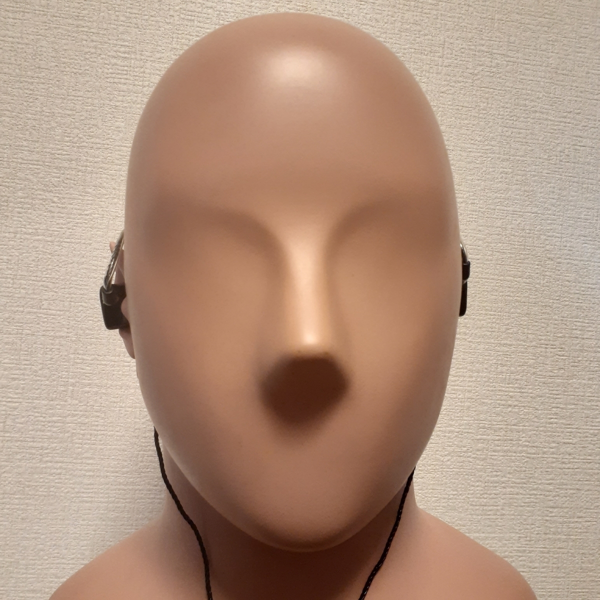 ハイエンドイヤホン JH Audio ROXANNE Universal レビュー - audio