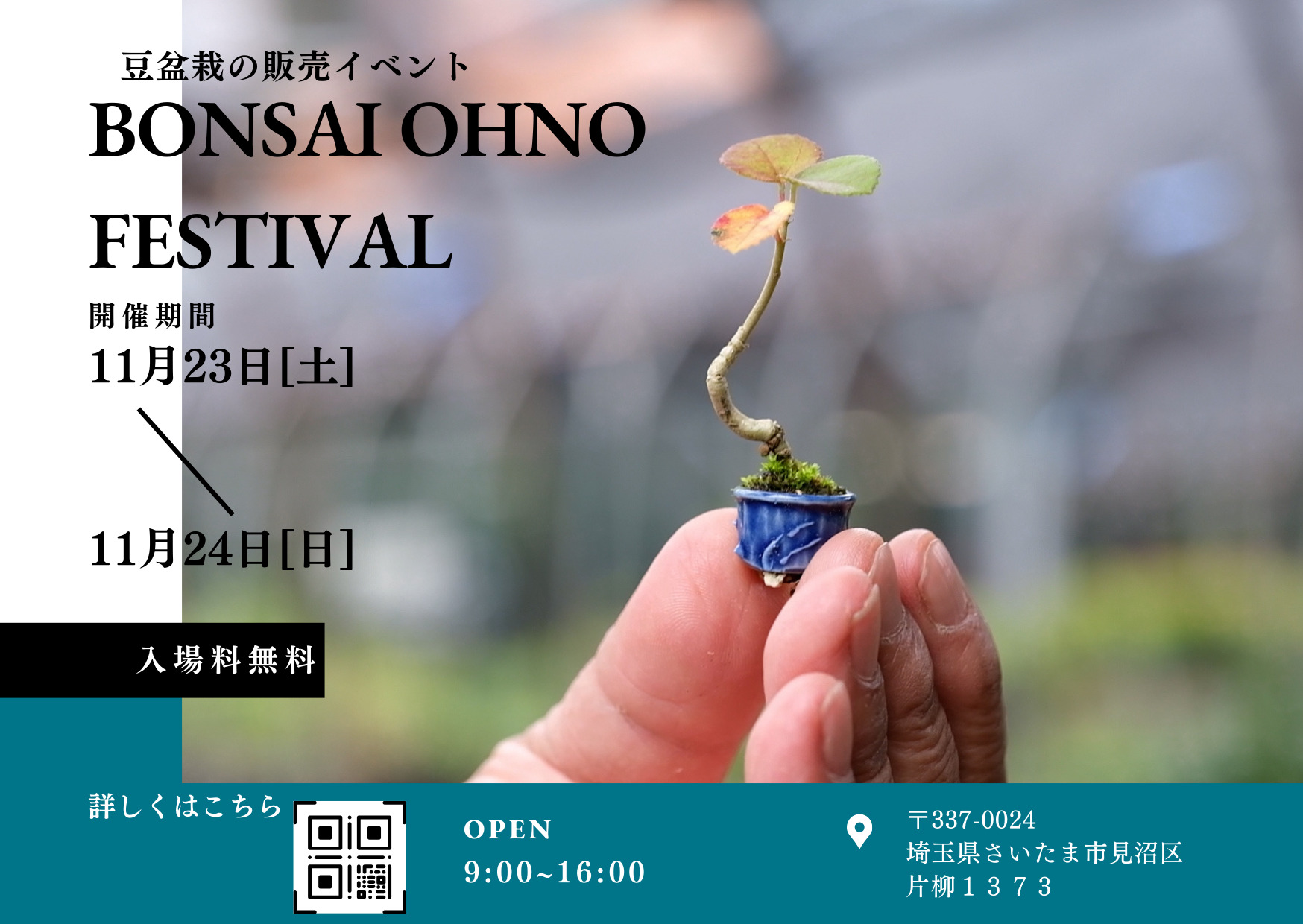 盆栽大野フェス開催のお知らせ – 盆栽Q | あたらしい盆栽をはじめよう