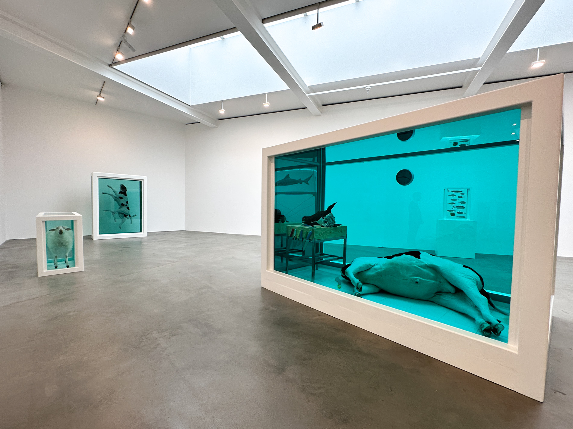 個展】ダミアン・ハースト（DAMIEN HIRST）「Natural History