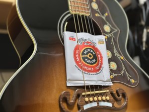 FISHMAN NEO-D Humbucking Pickup – Goldmine1969.com