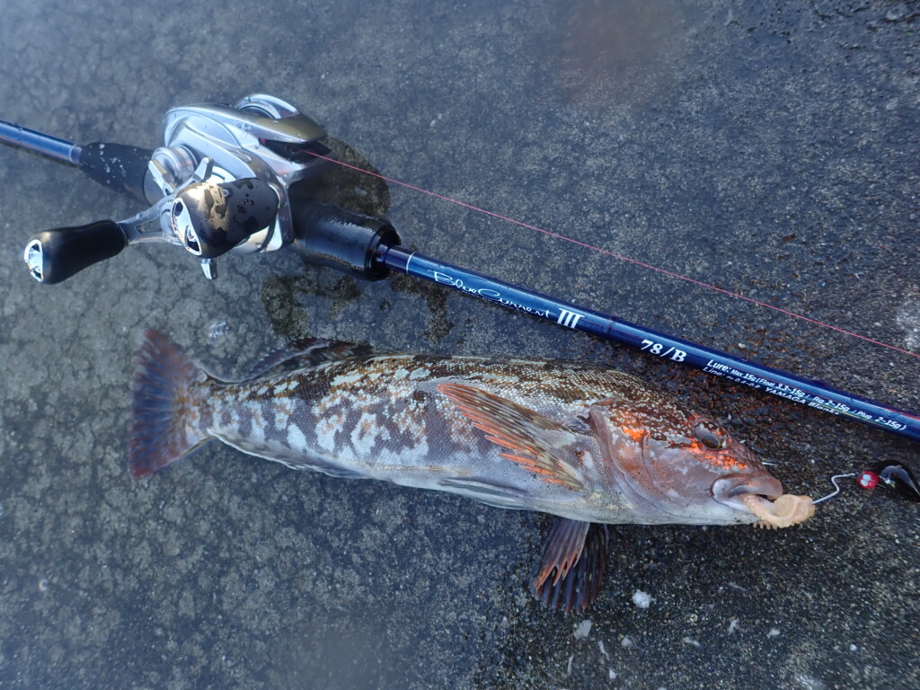 ヤマガの新作「ブルーカレントⅢ78＆78/B」でロックフィッシュを楽しむ