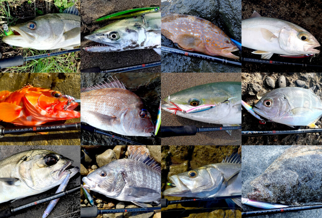 超バーサタイルモデル】ヤマガブランクス88チェインの4つの魅力