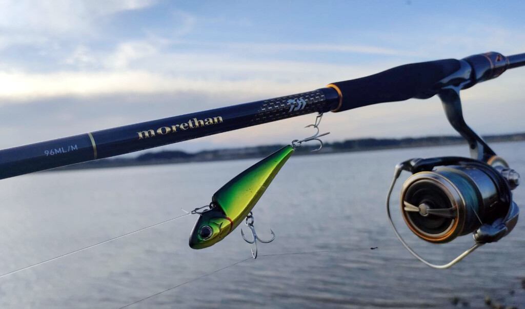 25モアザン】シーバスロッドに必要なコトって何だろう…を突き詰めた