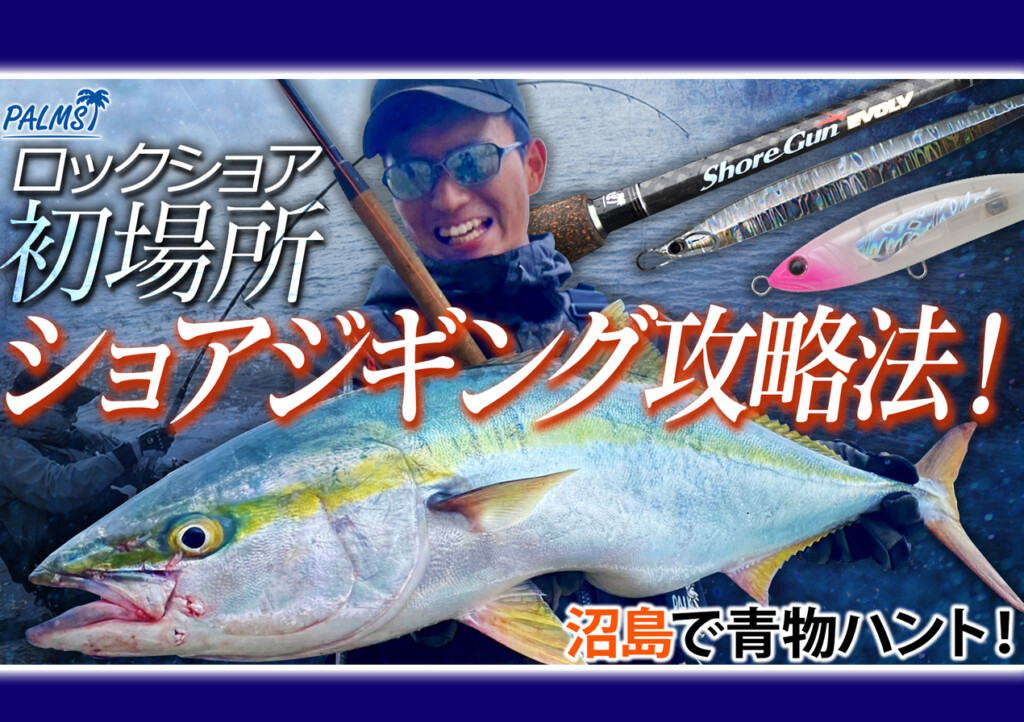 palms222.jpg?fit=1024,722&ssl=1