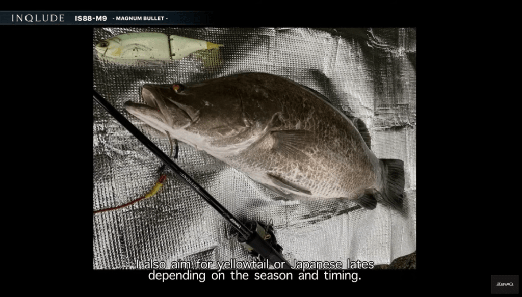 世界が広がるロッド！ゼナックの「インクルード IS88-M9 – MAGNUM