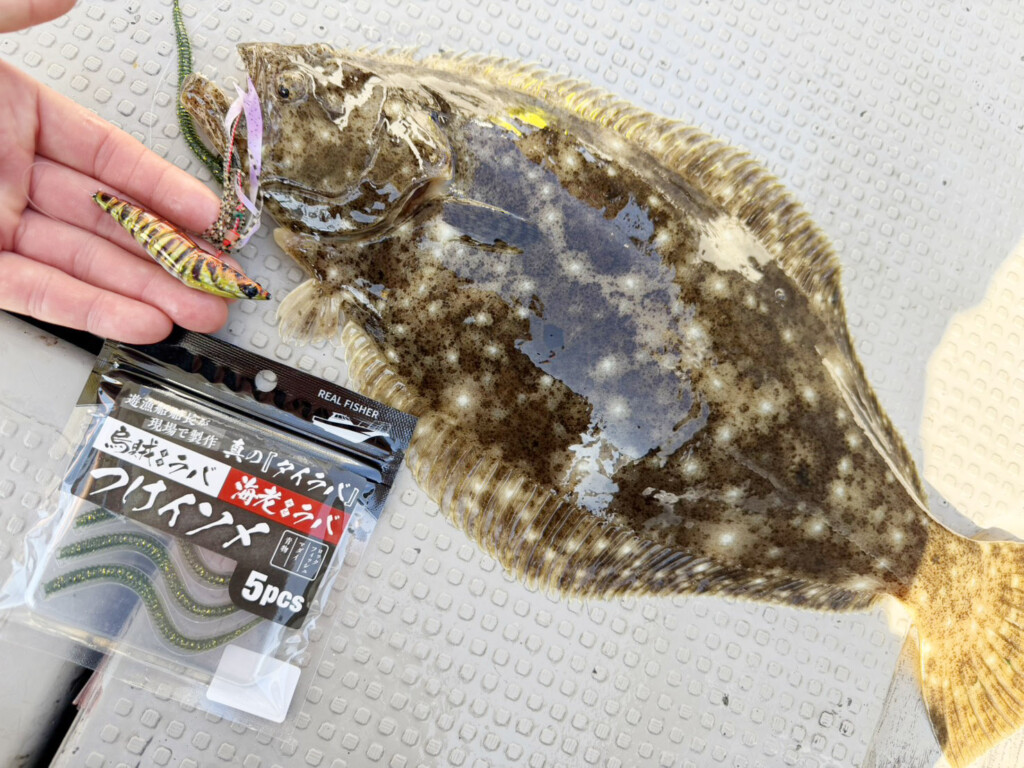 船長直伝】“冬”の「ヒラメ」攻略の心得 | 釣りの総合ニュースサイト