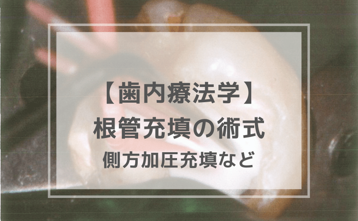 歯内療法学：根管充填の術式（計4問）【歯科医師国家試験】（2025年10