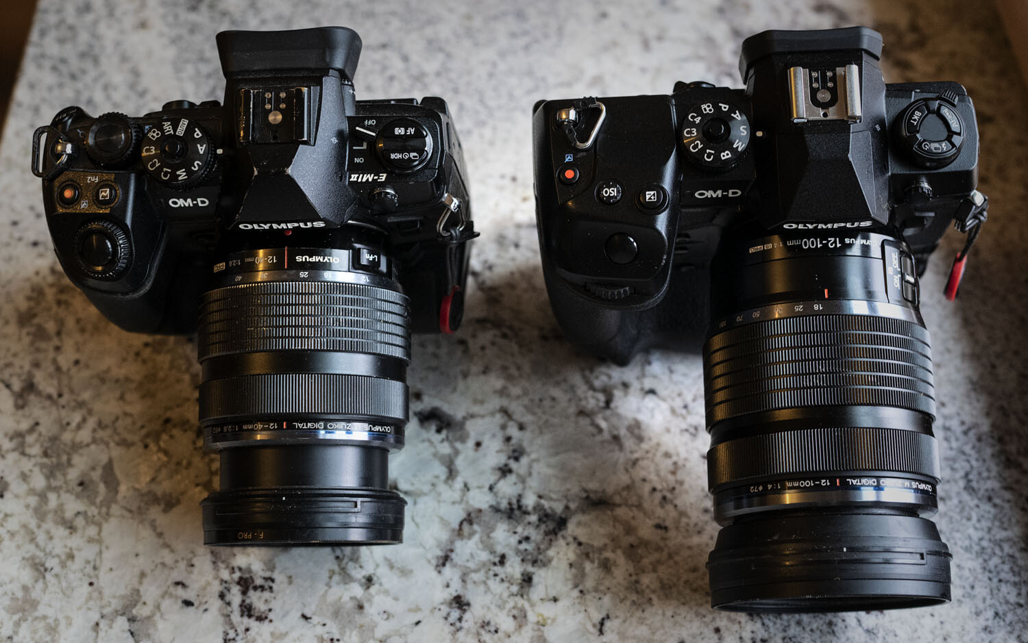 Real-World Review of the Olympus OMD-EM1X