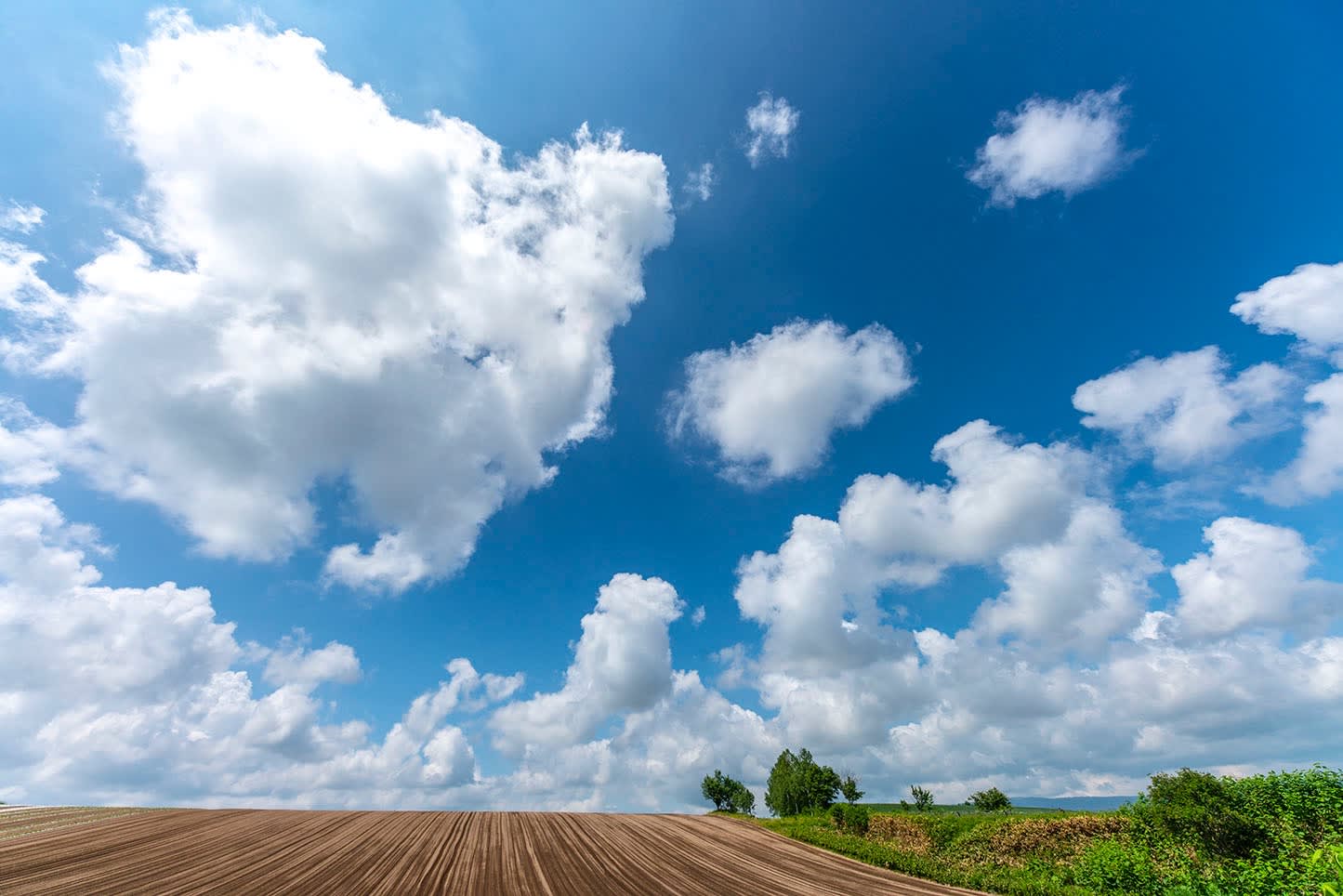 前田真三まえだ しんぞう – 北海道ビューポイント