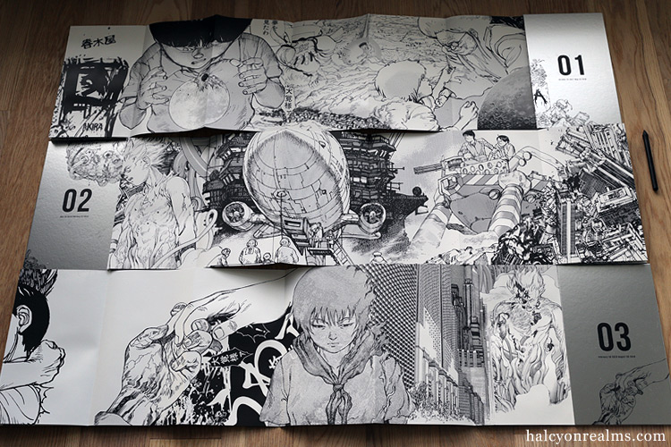 akira art of wall 限定book AKIRA ART OF WALL Katsuhiro Otomo