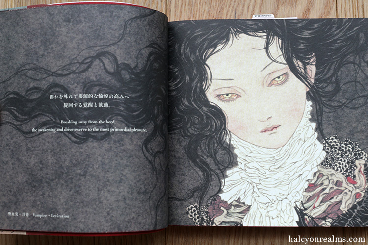Vampire's Box / Takato Yamamoto Art Book Review - Halcyon Realms