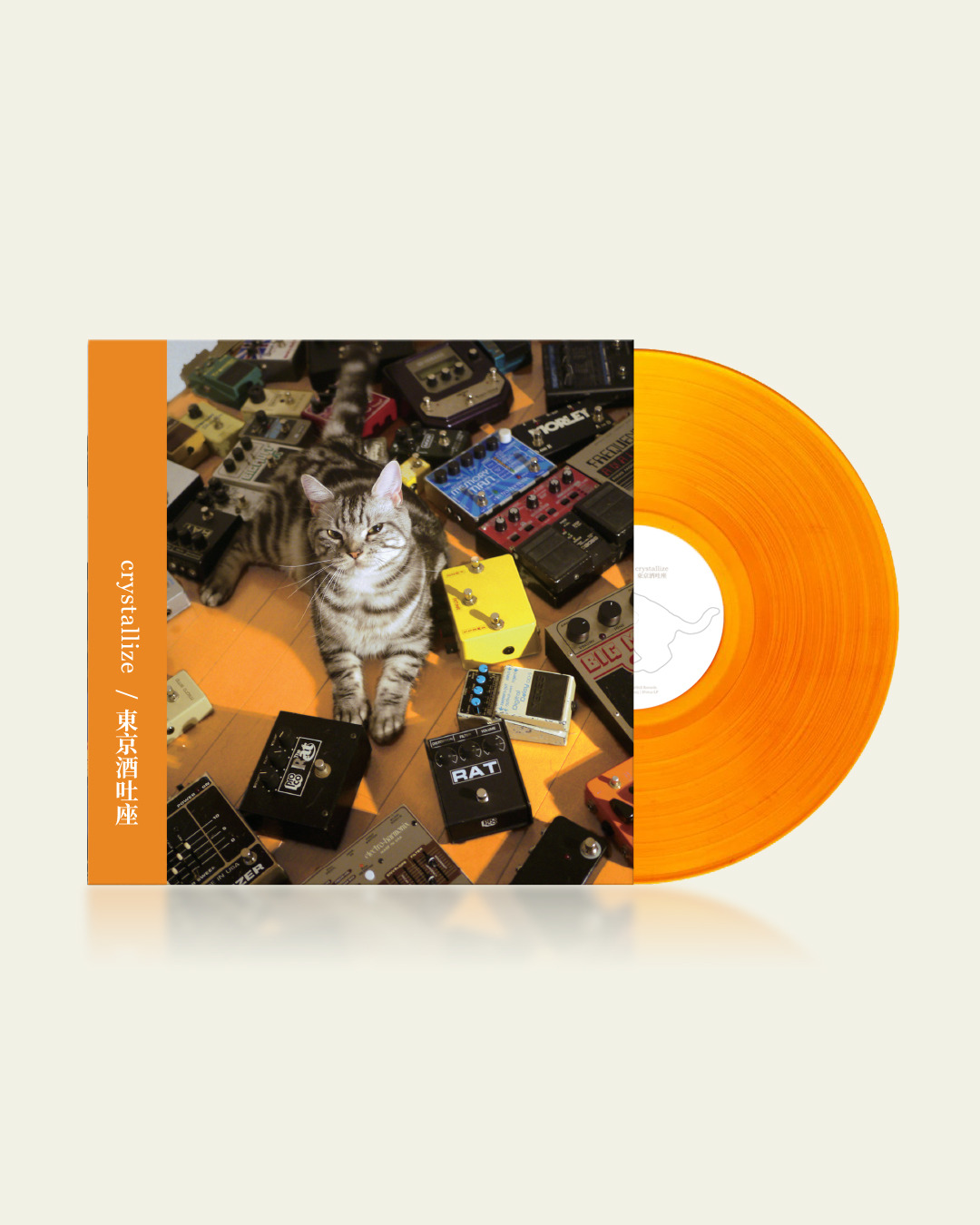 IMG-20250319-WA0026.jpg?fit=