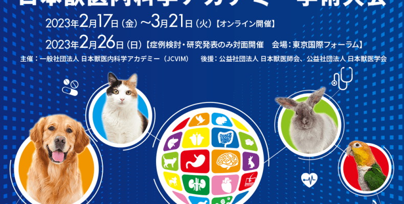 認定講習 | JSVDI