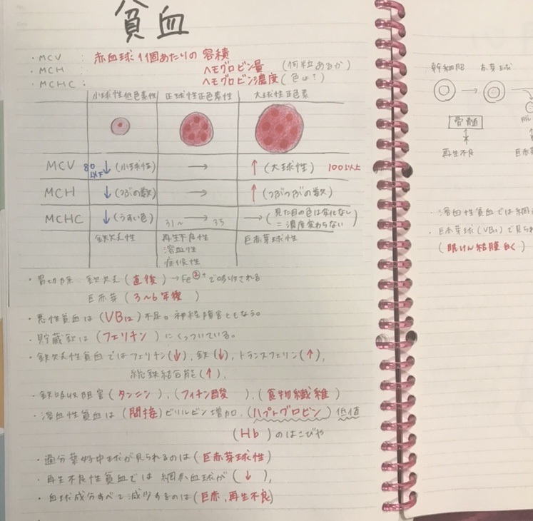 管理栄養士国家試験 現役合格者「もりみさ」の必勝ノート術｜管ゼミ