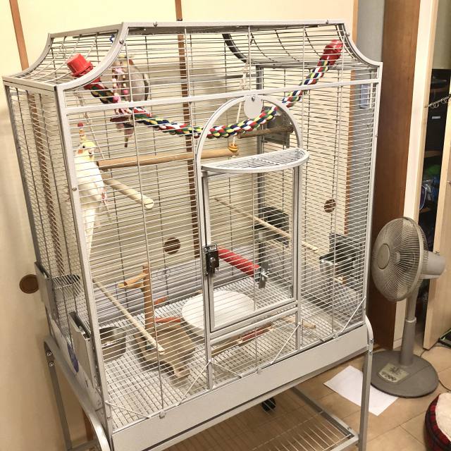 オカメletter | とうとう来たよ♪『オカメ御殿』 -特大バードケージ-