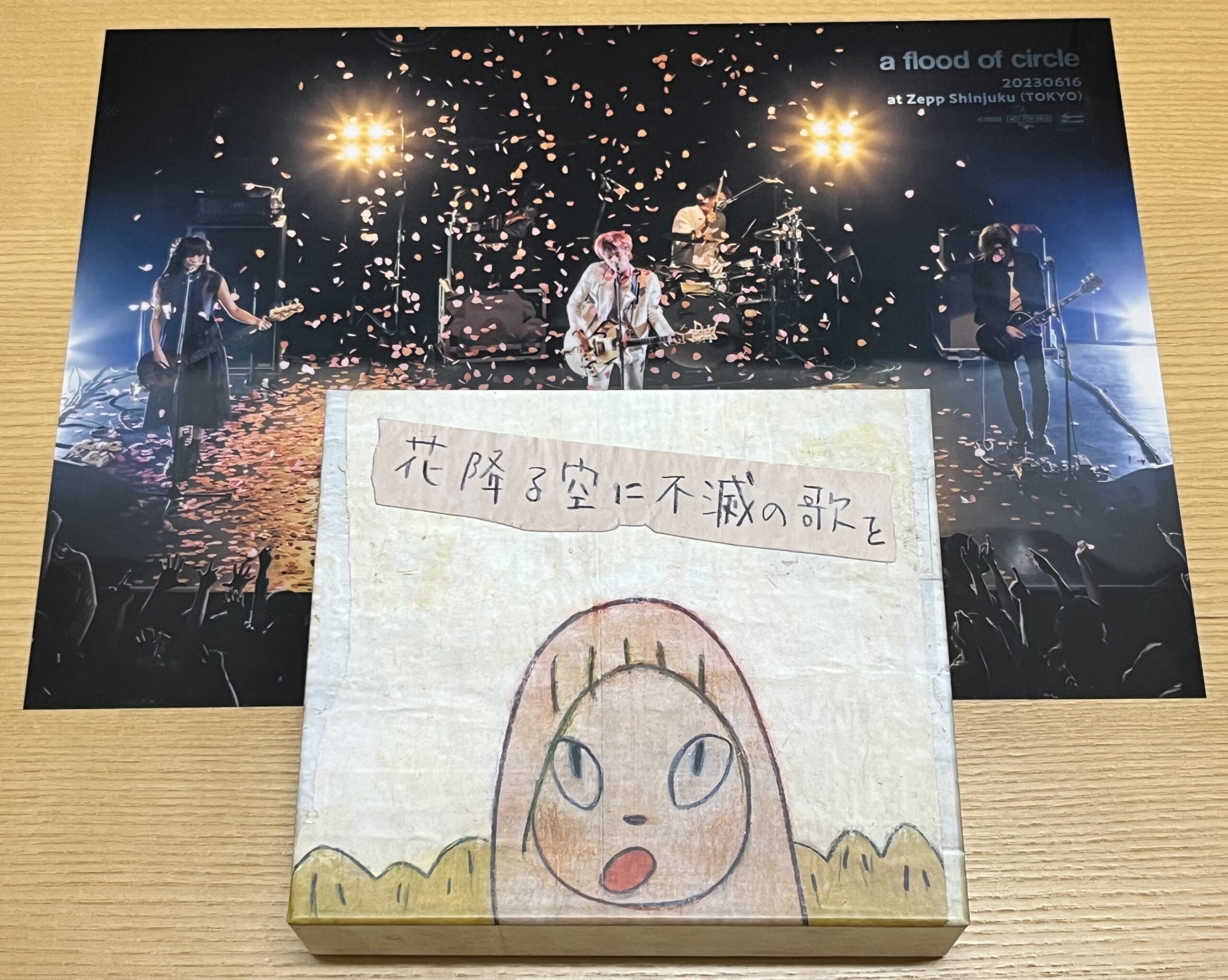 a flood of circle「花降る空に不滅の歌を」全曲紹介 ～絶望しながらも