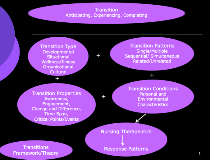 Transitions Framework/ Transitions Theory | Nursology