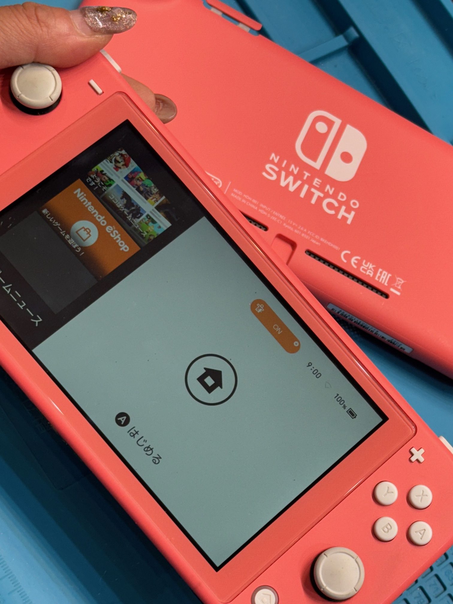 赤池店】Nintendo Switch Liteの液晶破損【長久手市岩作からご来店