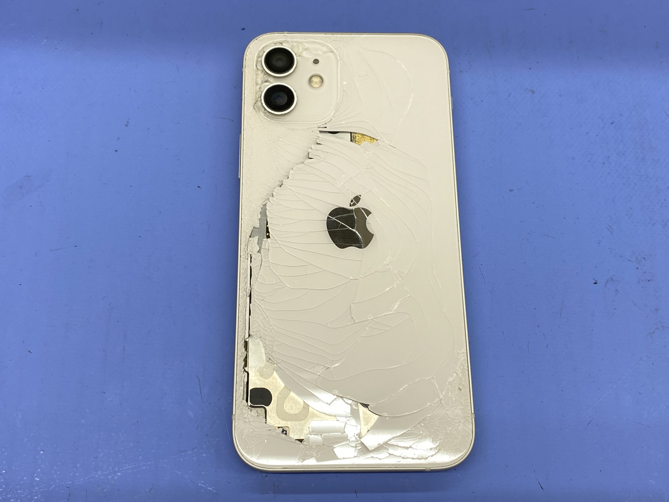 20250901_035235076_iOS-scaled.