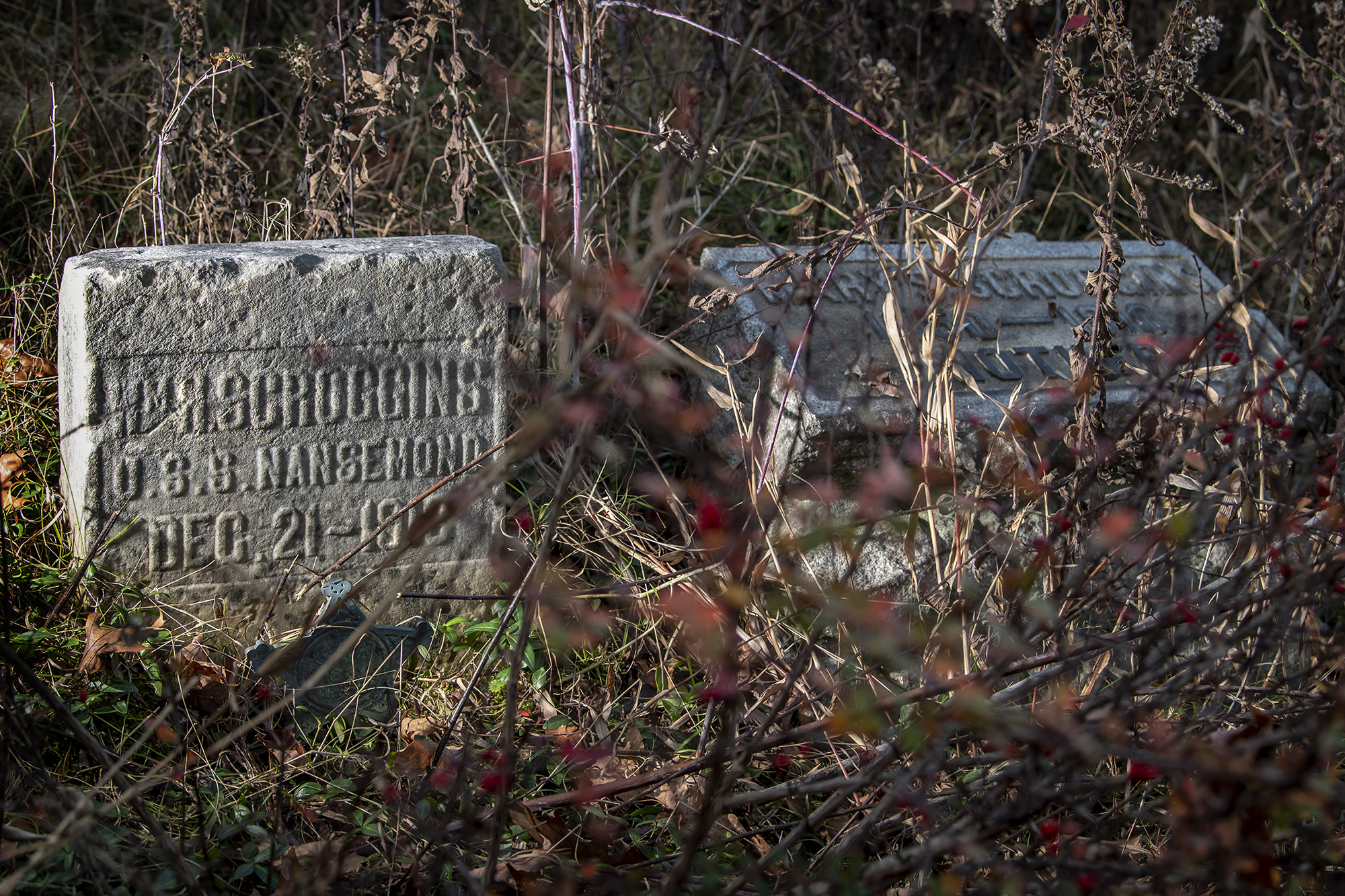 Overgrown brush on a Ross hillside hides the forgotten stones and