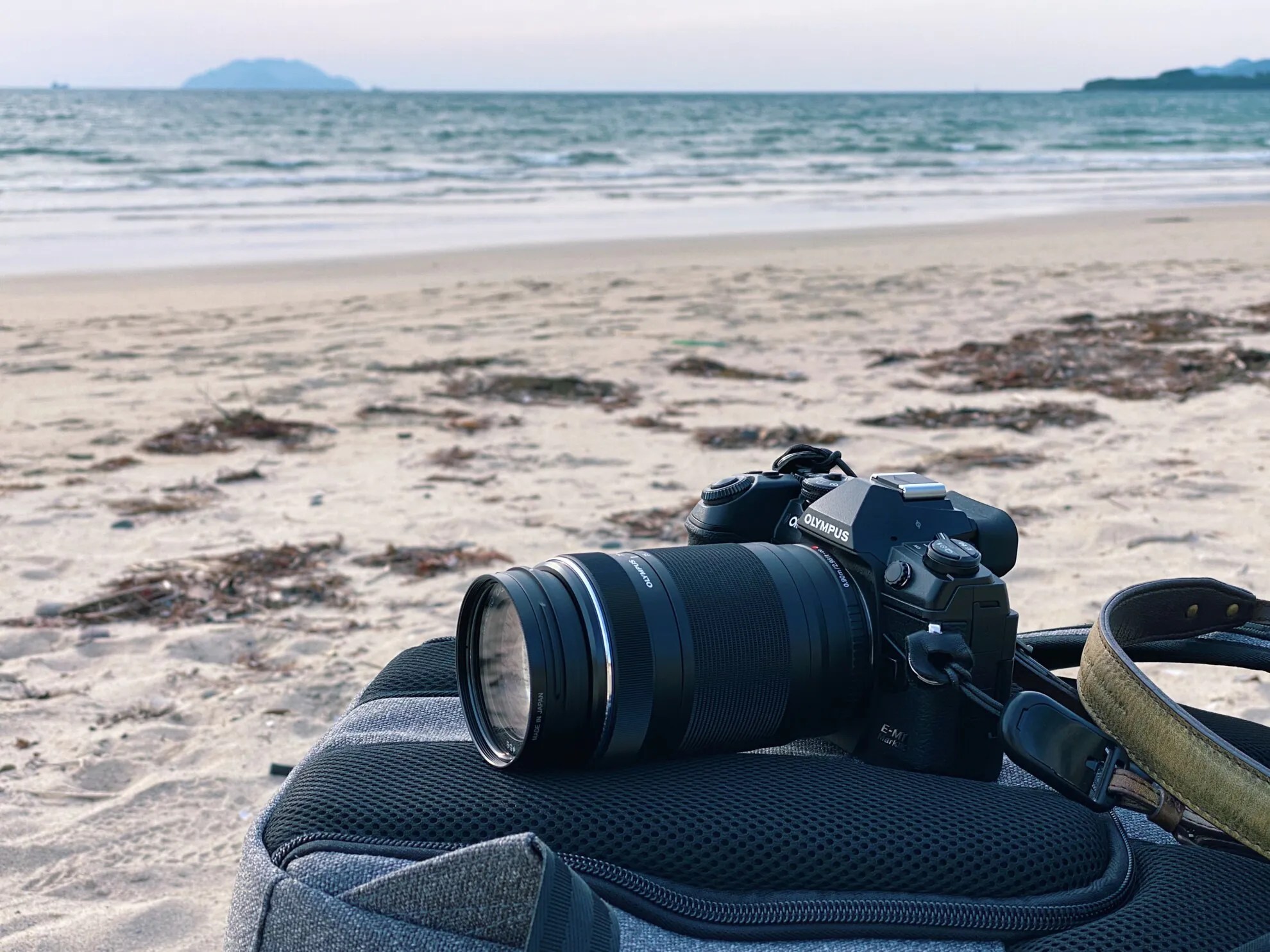 お散歩できる超望遠ズームレンズ OLYMPUS M.ZUIKO ED 75-300mm F4.8