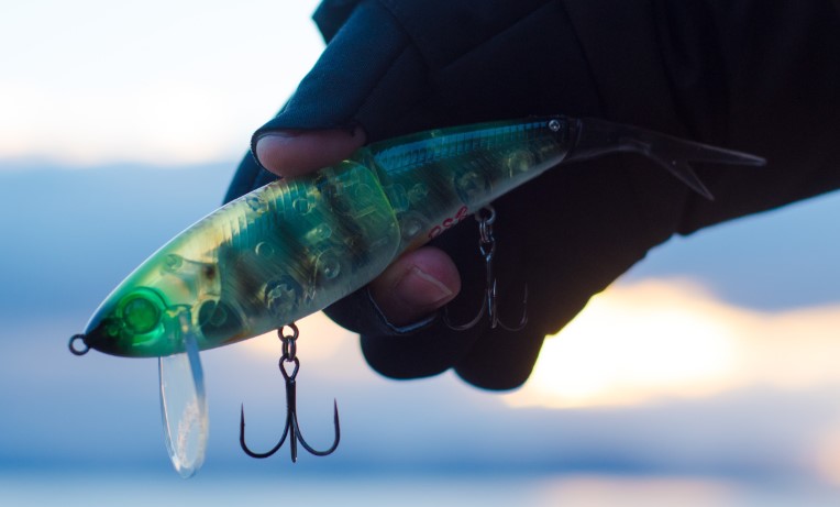 熱狂的ファン多し】ファットラボの超名作「ネコソギシリーズ」全3種を