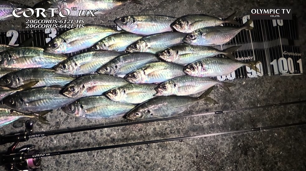 本体価格1万円台前半】軽くて高感度仕様でこの価格！オリムピックの