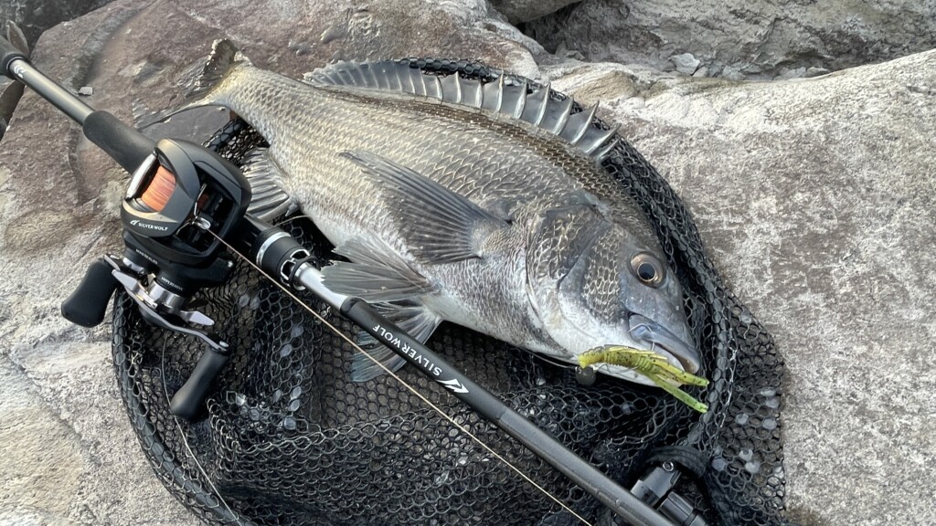 シルバーウルフAIR 76MLB-S】チニングの伝道師・もりぞー森 浩平