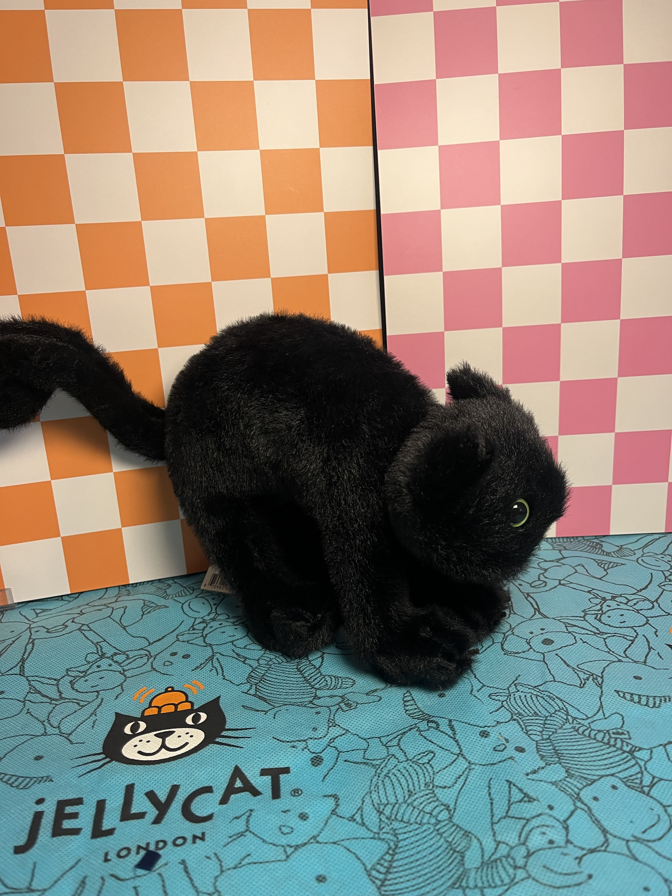 Spookipaws Cat - The Jellyspot