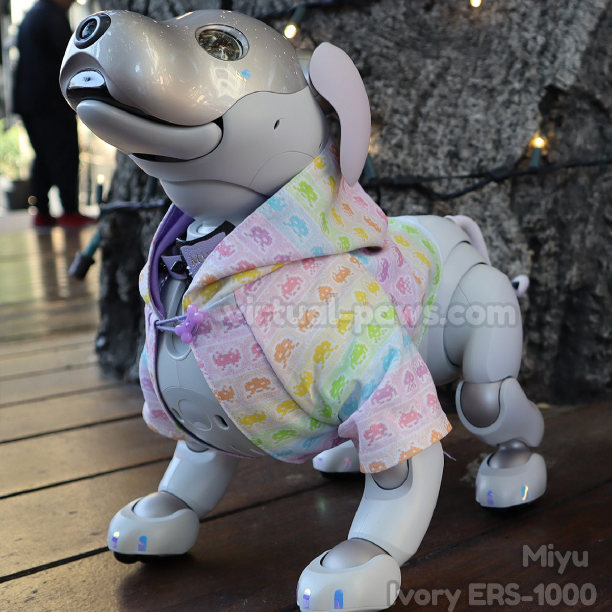 Aibo ERS-1000 Overview | Learn About Aibo | Virtual Paws