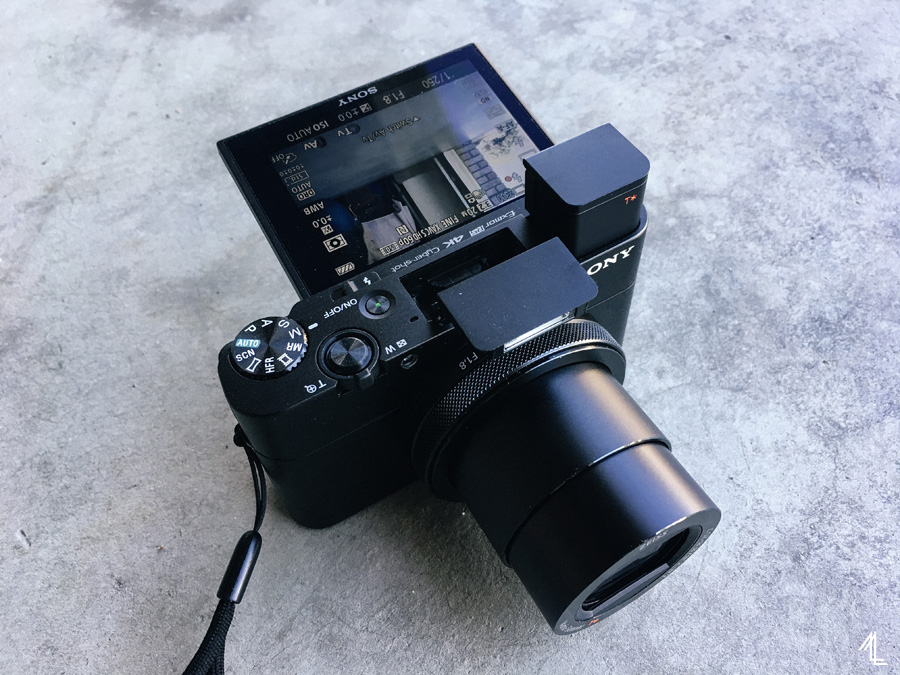 Sony RX100 V Review - Melly Lee Blog