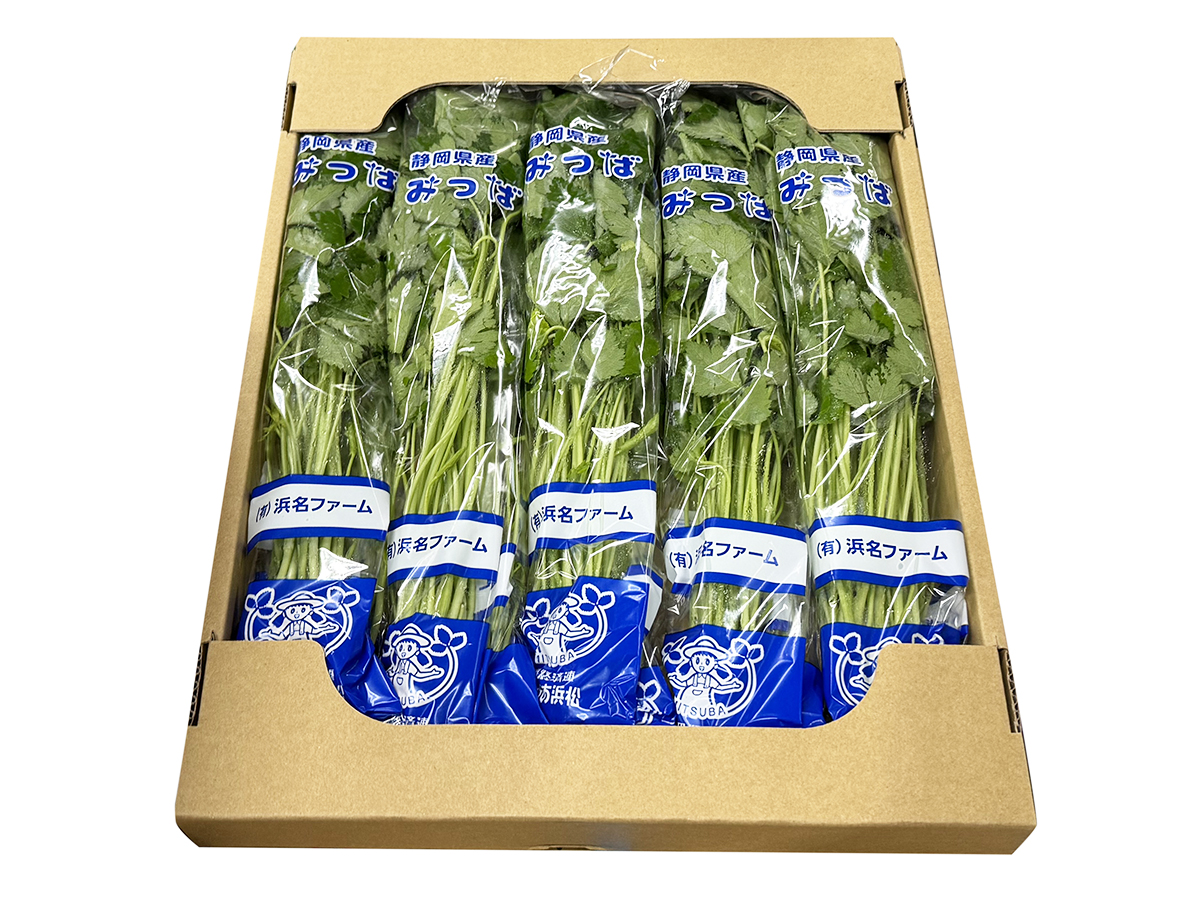 愛知県産他 みつば | 業務仕入・見積なら食品卸売の生鮮卸売市場