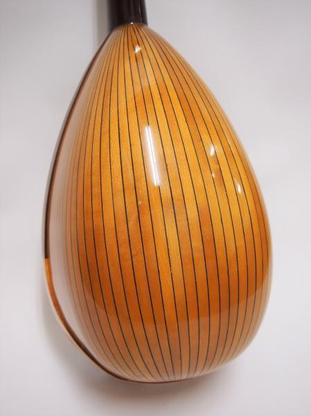 カラーチェマンドリン クラシコB | イケガク