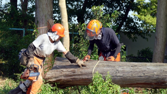 林業 - 宮崎県移住・UIJターン情報サイト「あったか宮崎ひなた暮らし」