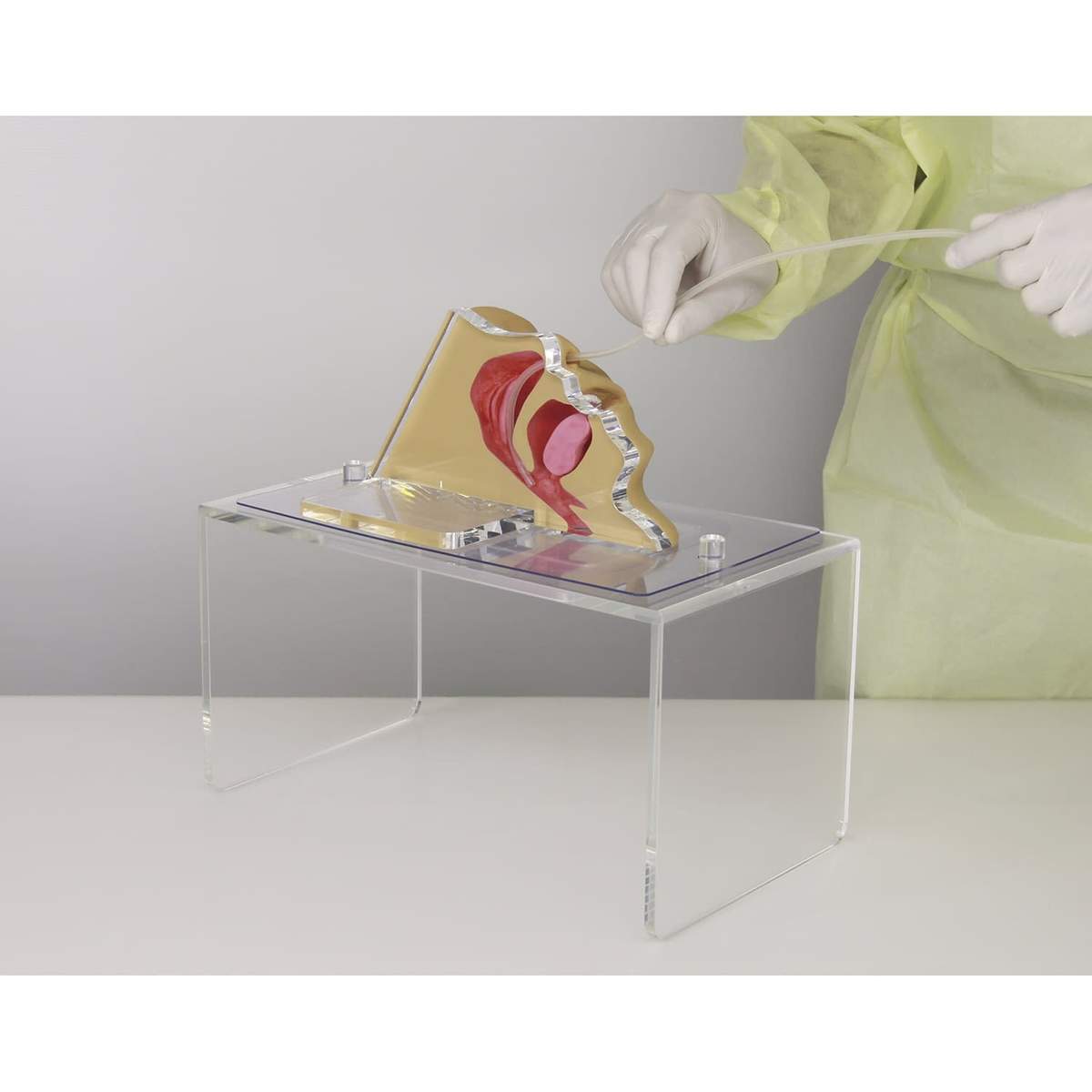 00876772_ex01.jpg?v=