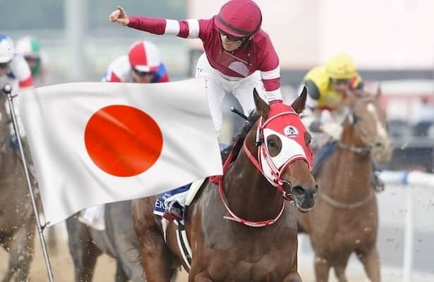 Japan to Breeders' Cup: Who are these 19 horses?