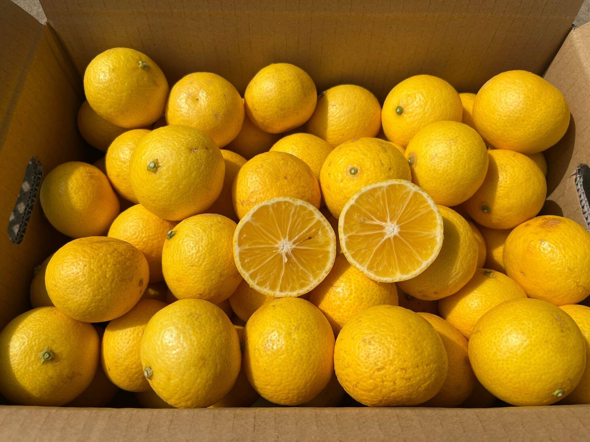 25abb2c18cf2c3fae7fb4515607a20