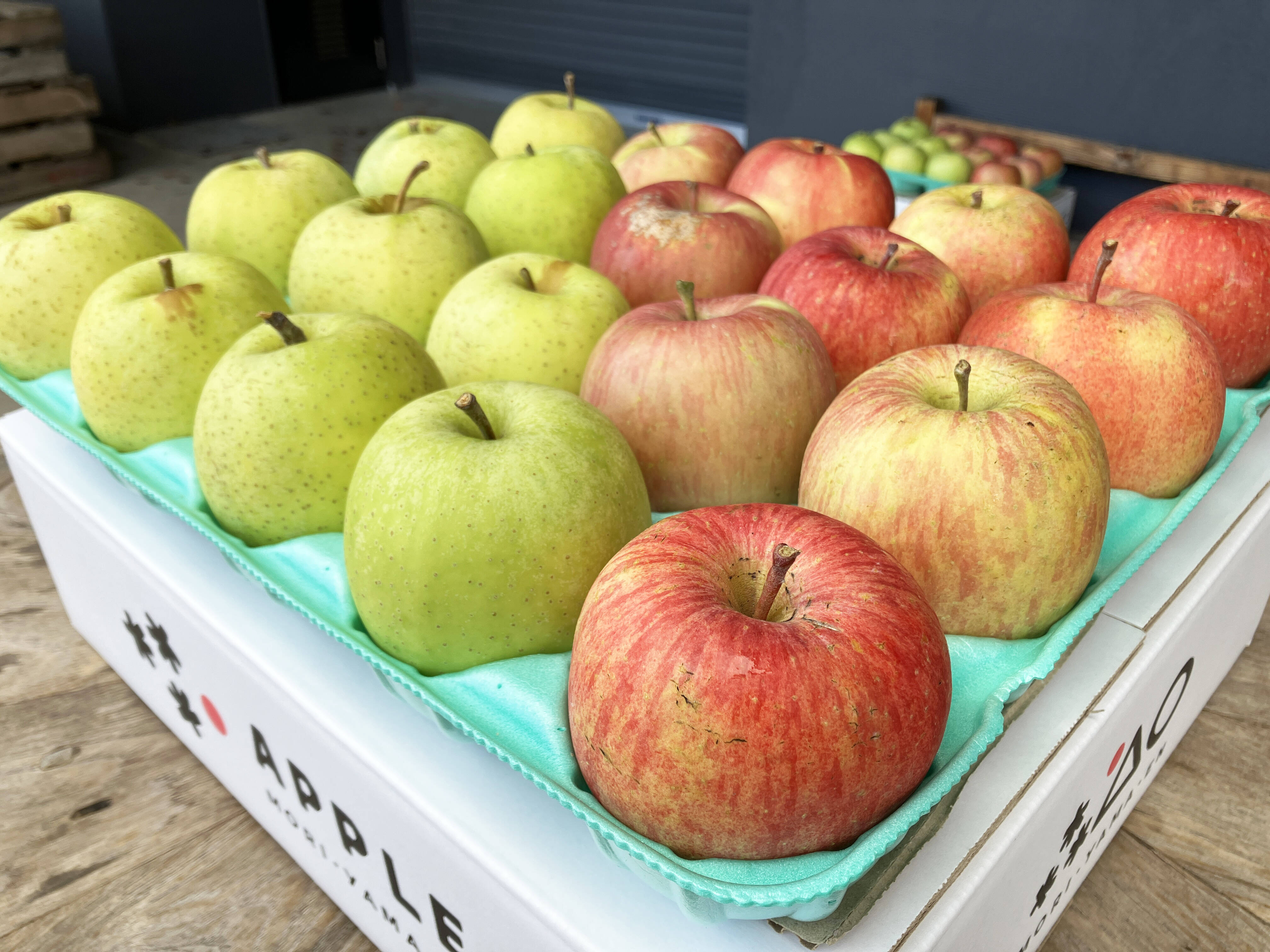 農薬50％減 訳ありご家庭用 サンふじ・王林セット5kg【特別栽培認証