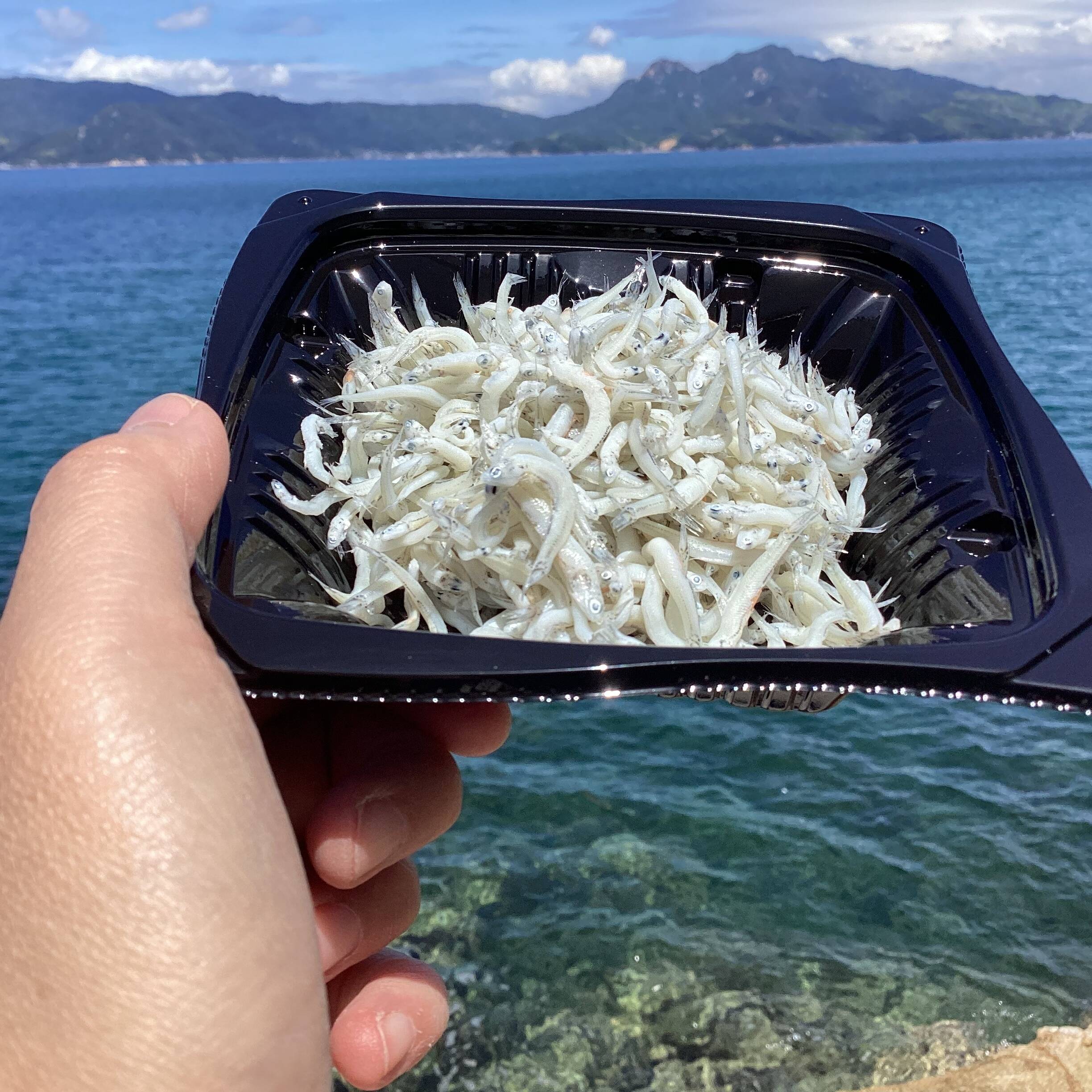 f9d3bd03cc3e47d6596f6e91be4f6f